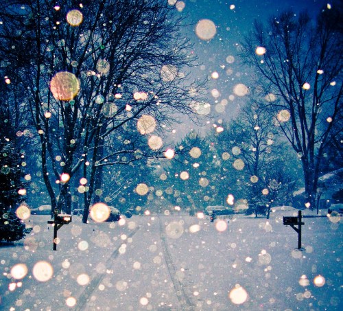 A snowy scene with falling snowflakes, trees in the background, and a quiet road lined with mailboxes.