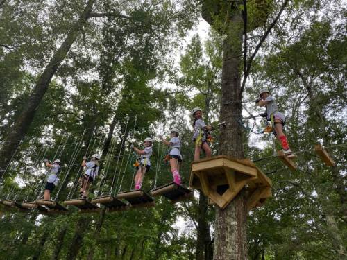 A group of children navigating a treetop obstacle course in a forested area, wearing safety gear and enjoying the adventure.