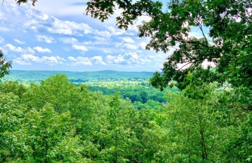 Lush green landscape with rolling hills under a blue sky dotted with fluffy white clouds.