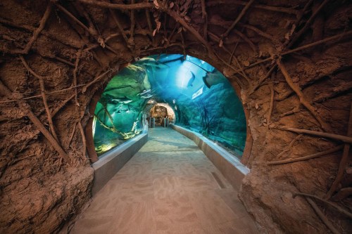 A sandy tunnel with a curved arch, featuring underwater views and natural elements like branches and rocks.