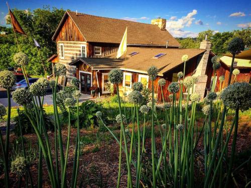 A rustic wooden house surrounded by greenery and tall plants, with flags and a clear blue sky in the background.