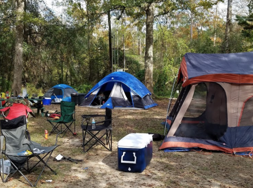 A campsite with blue and orange tents, folding chairs, and a cooler, surrounded by trees and nature.