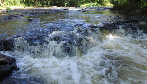 A serene river scene with flowing water over rocks, surrounded by lush greenery and sunlight filtering through trees.