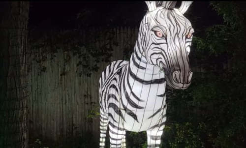 A large illuminated zebra sculpture stands in a dark garden, showcasing its striking black and white stripes.