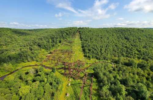 Aerial view of a dense green forest with rusted metal structures and overgrown pathways winding through the landscape.