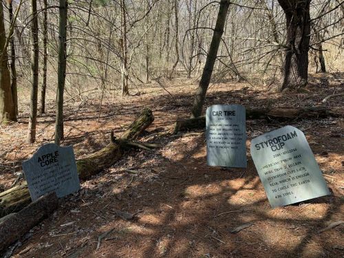 Three humorous gravestones in a forest, marking the resting places of an apple core, car tire, and styrofoam cup.