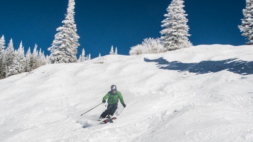 A skier in a green jacket glides down a snowy slope surrounded by frosted trees under a clear blue sky.