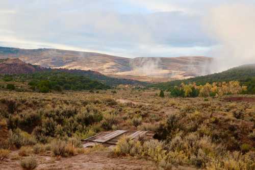 A scenic landscape featuring rolling hills, sparse vegetation, and a misty atmosphere under a cloudy sky.