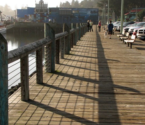 A wooden pier extends over calm water, with people walking and benches lining the sides, casting long shadows.