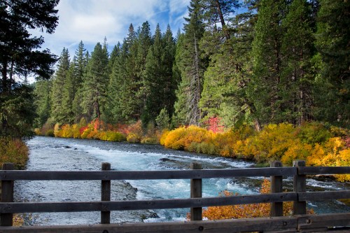 A serene river flows through a forest, surrounded by vibrant autumn foliage and tall evergreen trees.