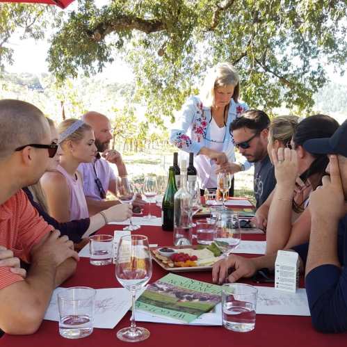 A group of people dining outdoors at a vineyard, enjoying food and drinks, with a server attending to them.