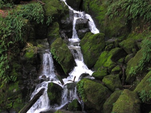 A serene stream flows over moss-covered rocks in a lush green forest.