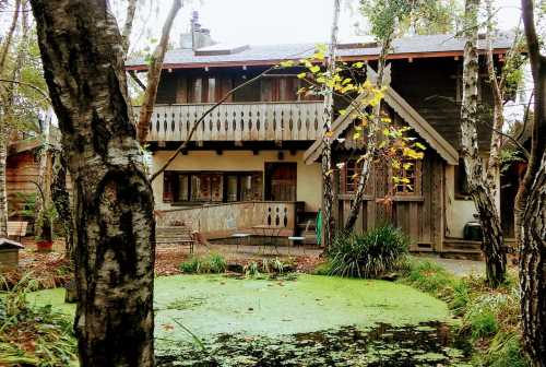 A rustic wooden house surrounded by trees, with a balcony and a pond covered in green algae in the foreground.