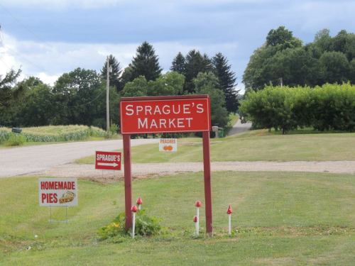 Sign for Sprague's Market with nearby signs for homemade pies, set in a grassy area with trees in the background.