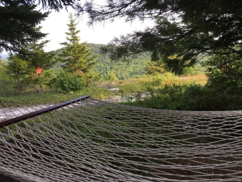 A hammock suspended between trees, overlooking a lush green landscape and distant hills.