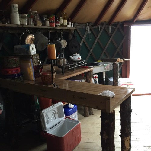 Interior of a rustic yurt with wooden shelves, kitchen items, and a window letting in natural light.