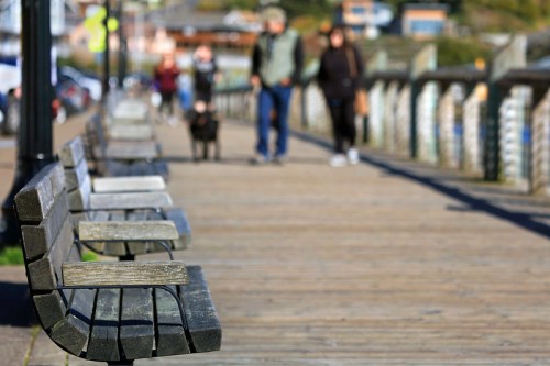 A wooden boardwalk with empty benches, people walking in the background, and a dog on a leash.