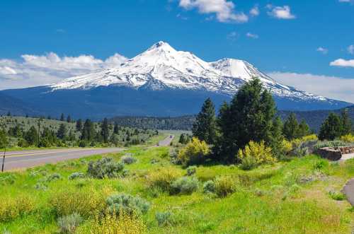 Snow-capped mountain under a blue sky, surrounded by green fields and trees, with a road in the foreground.