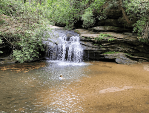 A serene waterfall cascades into a shallow pool surrounded by lush greenery and rocky terrain.