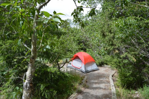 A red and gray tent set up on a path surrounded by lush green trees and foliage.