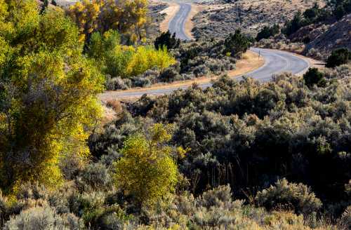 Winding road through a landscape of shrubs and trees, with autumn colors in the foliage under a clear sky.