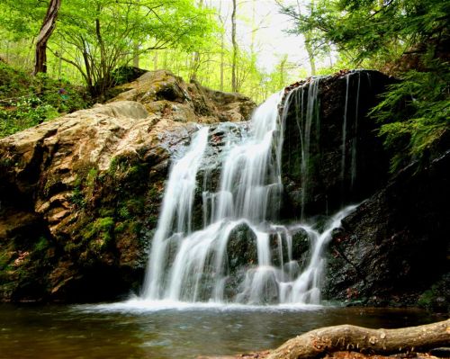 A serene waterfall cascading over rocks into a calm pool, surrounded by lush green trees and foliage.