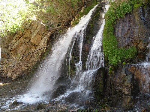 A serene waterfall cascading over moss-covered rocks, surrounded by lush greenery.