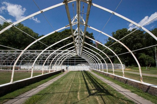 A large, empty greenhouse with a metal frame and clear sky above, surrounded by green grass and trees.