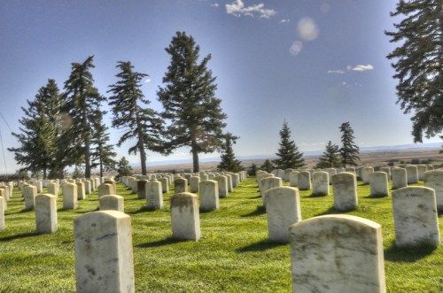 A serene cemetery with white gravestones arranged in rows, surrounded by tall trees and a clear blue sky.