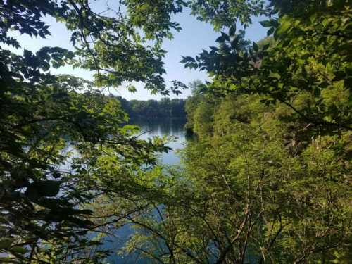 A serene lake surrounded by lush green trees under a clear blue sky.