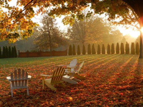 A serene autumn scene with colorful leaves, three chairs, and sunlight filtering through trees in a peaceful park.