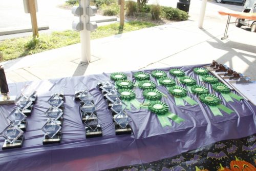 A table displays various trophies and green ribbon awards arranged neatly on a purple tablecloth.