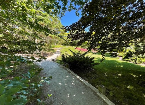 A winding path through a lush green garden, surrounded by trees and colorful plants under a clear blue sky.