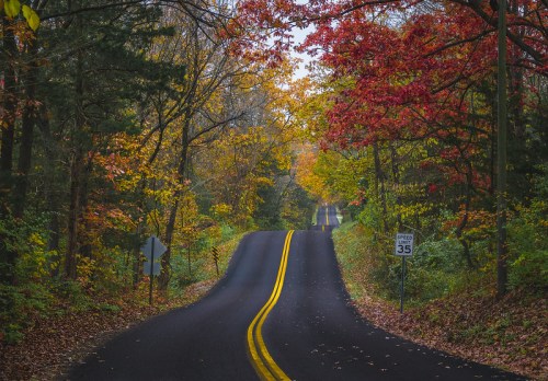A winding road through a forest with vibrant autumn foliage in shades of red, orange, and yellow.