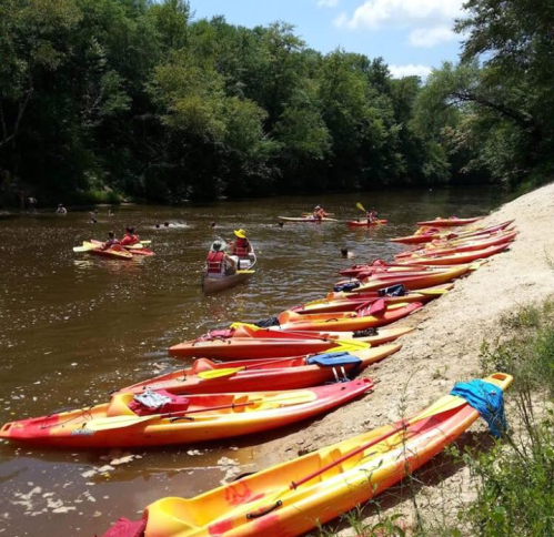 A river scene with multiple kayaks lined up on the shore and people paddling in the water under a blue sky.