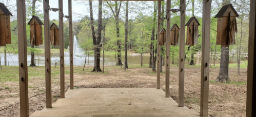 View from a porch with birdhouses, overlooking a serene landscape with trees and a pond in the background.