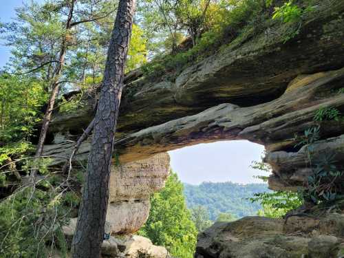 A natural stone arch surrounded by trees, with a scenic view of rolling hills in the background.