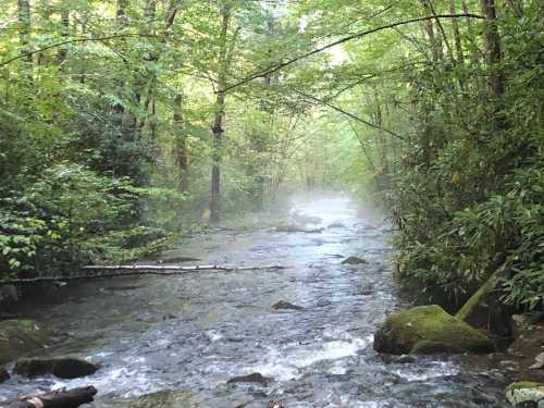 A serene river flows through a lush, green forest, with mist rising gently from the water.