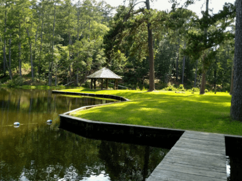 A serene pond surrounded by lush greenery and a gazebo, with a wooden dock extending into the water.