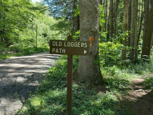 A wooden sign pointing to "Old Loggers Path" in a lush, green forest setting.