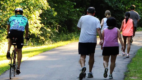 A cyclist rides on a path alongside a group of people walking in a lush, green park.