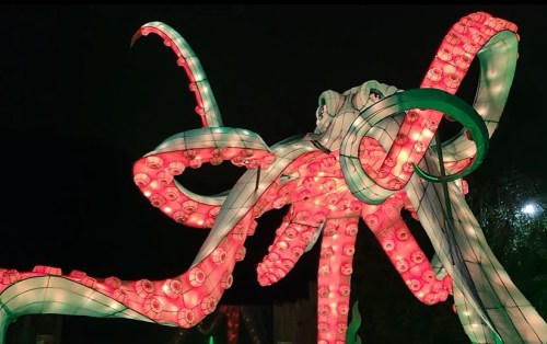 A large, illuminated octopus sculpture with pink and green lights against a dark background.