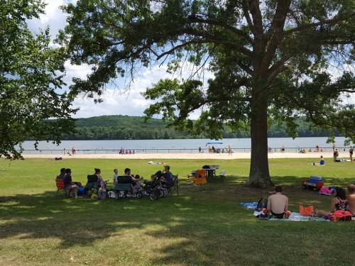 A sunny beach scene with people relaxing under trees, enjoying the water and sandy shore in the background.