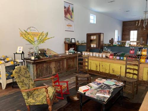 Cozy interior of a rustic shop featuring a wooden counter, seating area, and shelves with various products.