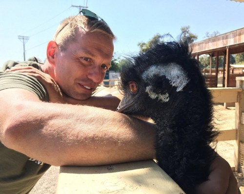 A man leans over a fence, interacting closely with a curious emu. Bright sunlight and a rural setting are visible.