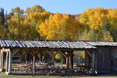 A rustic wooden structure surrounded by vibrant autumn trees with golden leaves.