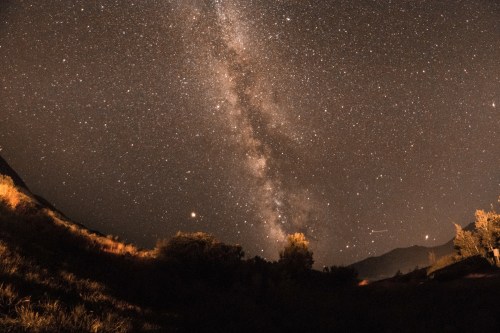 A starry night sky featuring the Milky Way, with silhouettes of trees and mountains in the foreground.