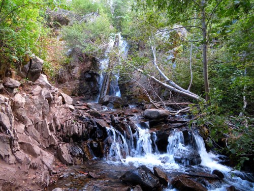 A serene waterfall cascades over rocks, surrounded by lush greenery and trees in a tranquil forest setting.