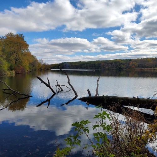 A serene lake surrounded by trees, with clear blue skies and reflections on the water's surface.