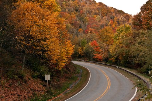 Curving road surrounded by vibrant autumn foliage in a mountainous landscape.